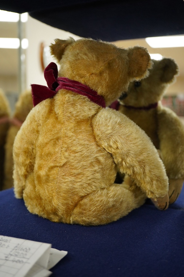 A Steiff teddy bear, c.1906, approx. 33cm long